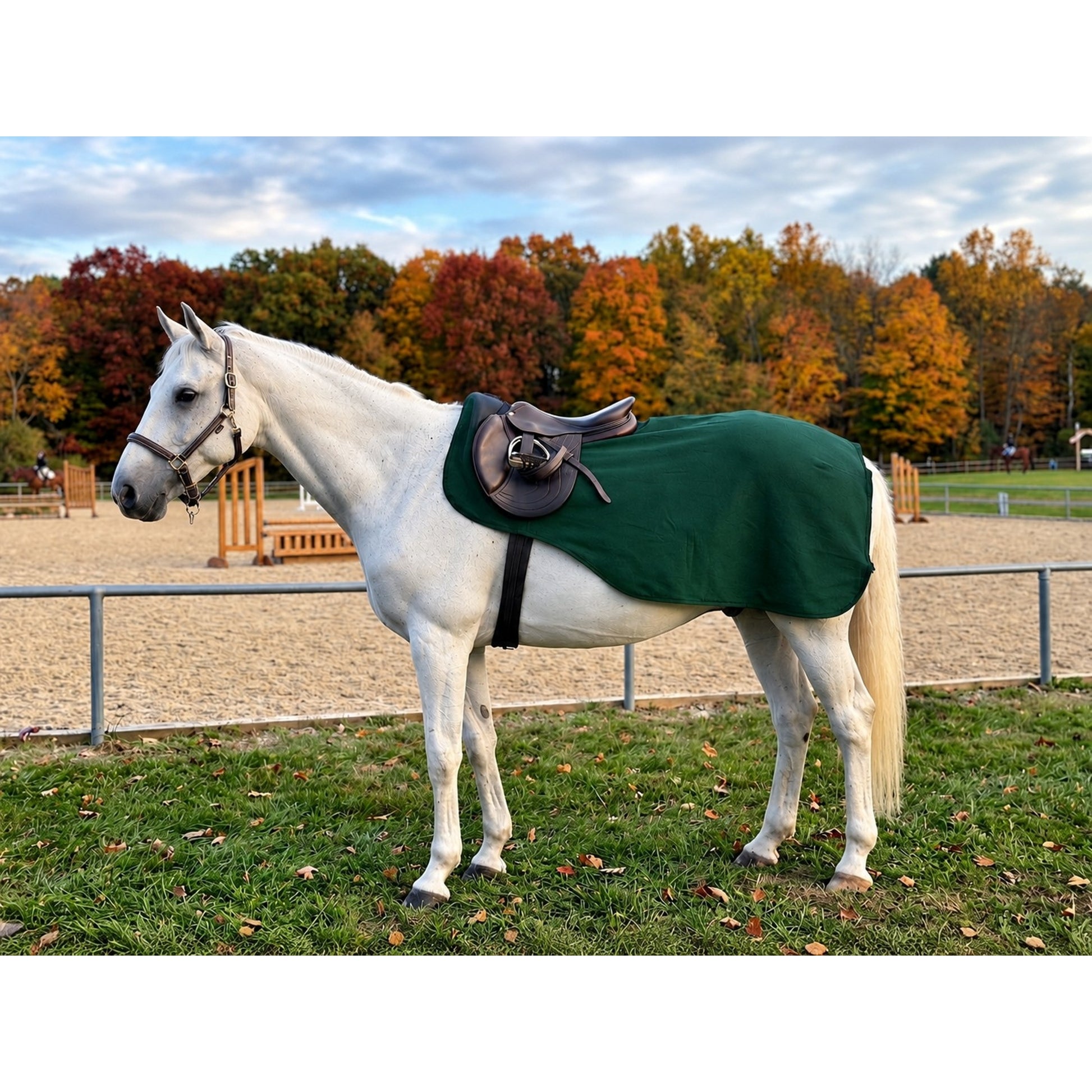 Gatsby Competition Sheet