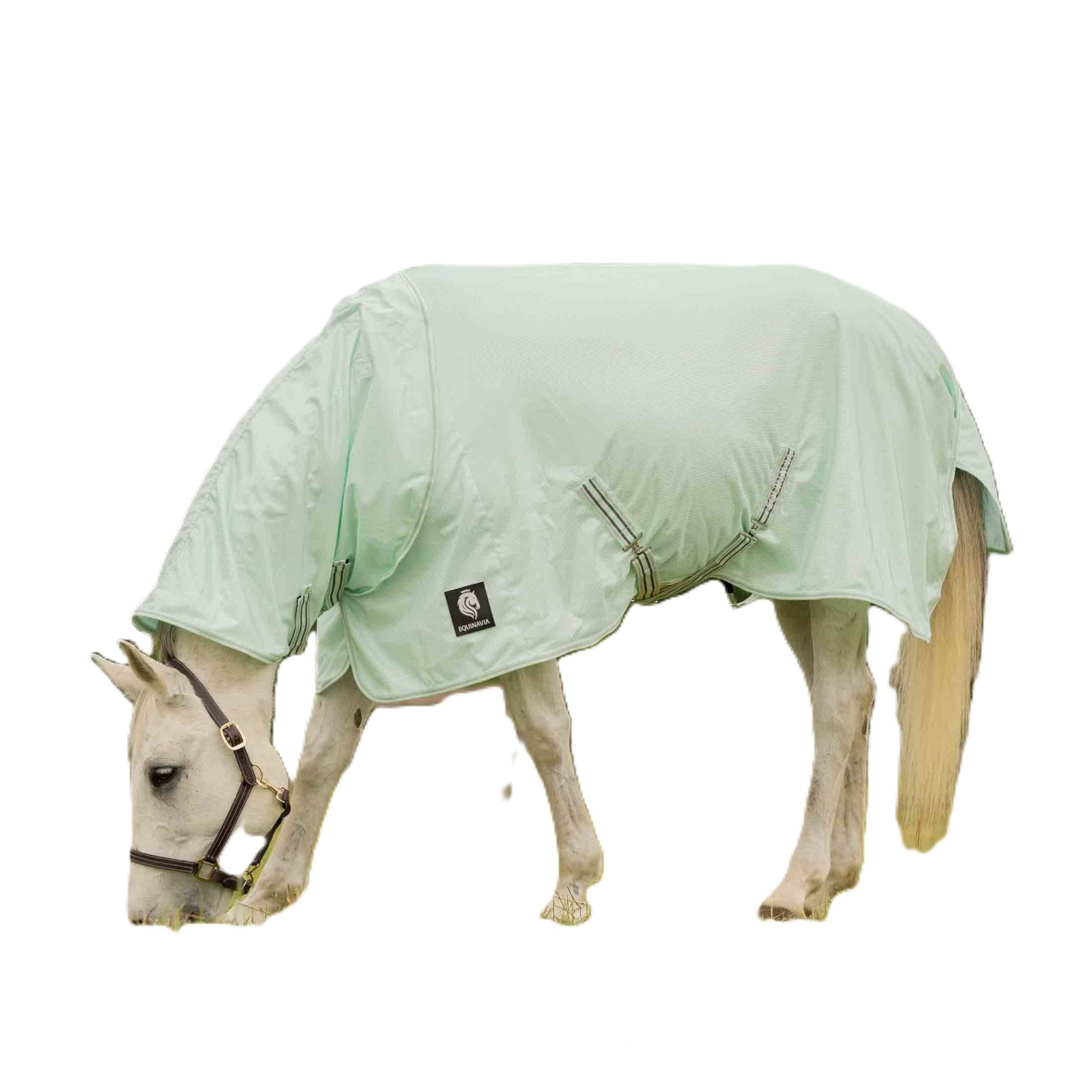 Equinavia Brisk Fly Sheet with Detachable Neck