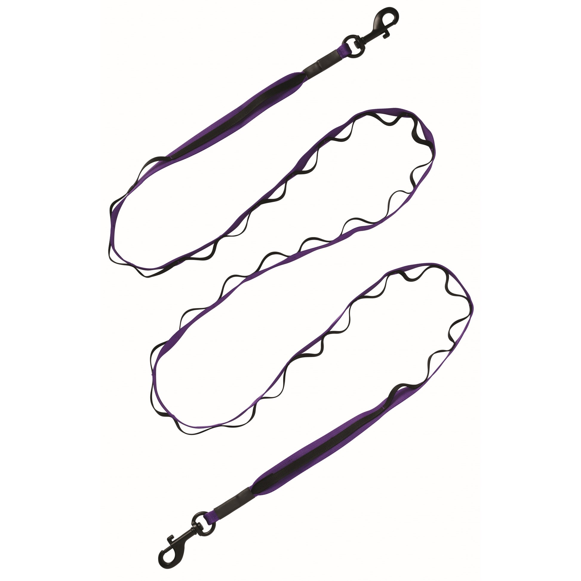 Terrain D.O.G. Venture Dual Snap Dog Leash