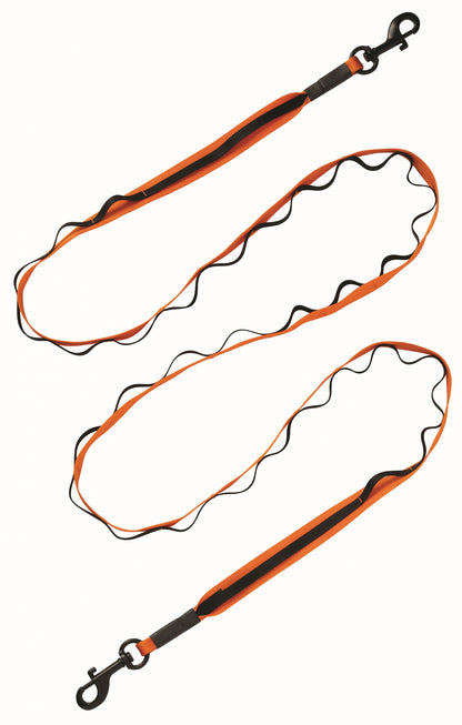 Terrain D.O.G. Venture Dual Snap Dog Leash