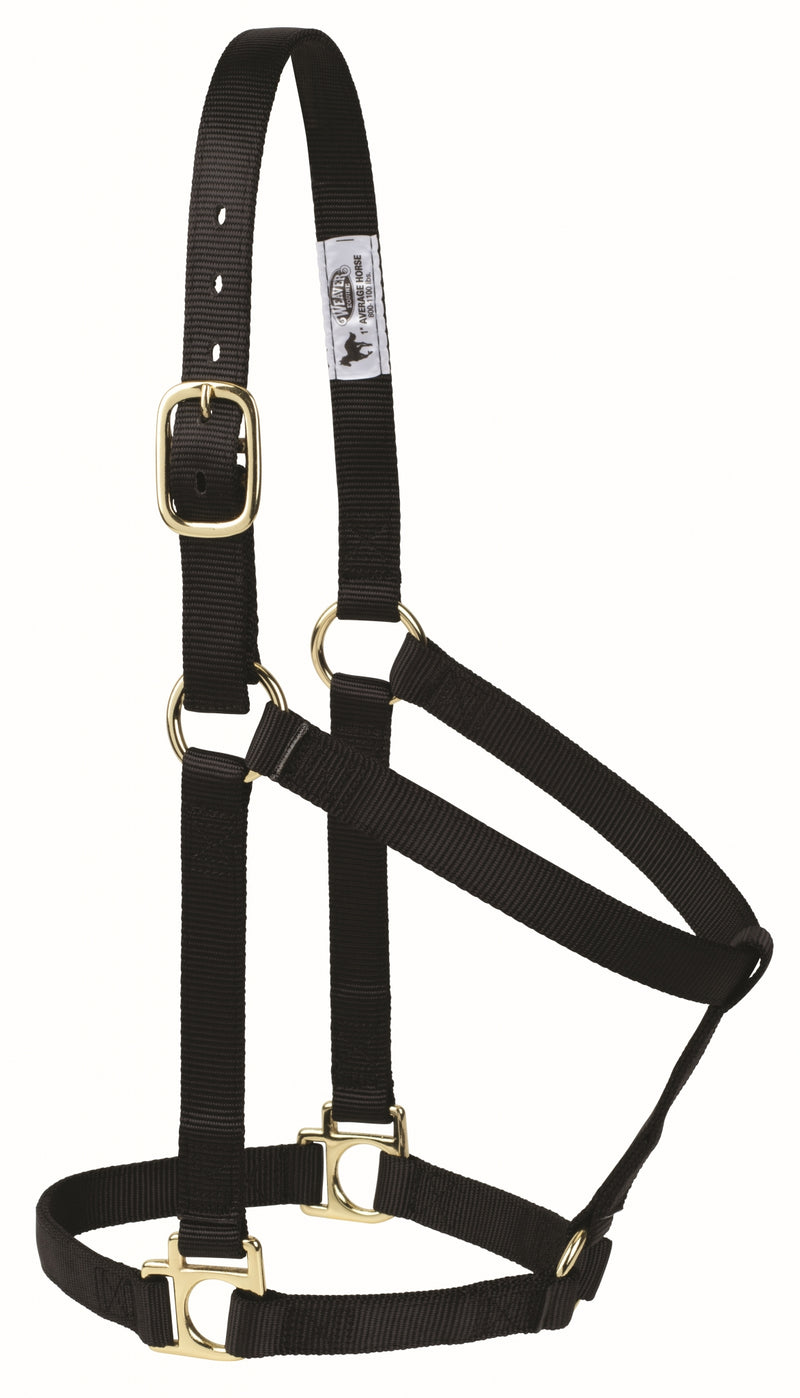Weaver Non-Adjustable Poly Horse Halter