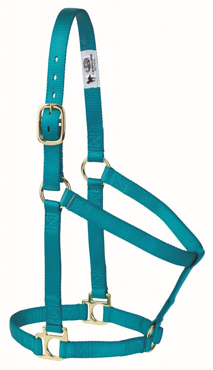 Weaver Non-Adjustable Poly Horse Halter