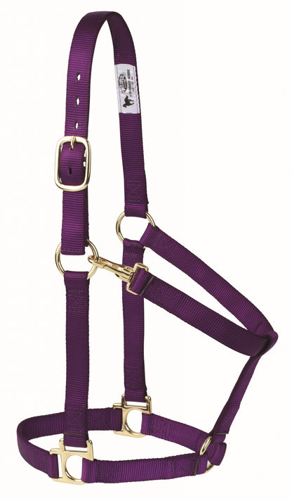 Weaver Non-Adjustable Poly Horse Halter with Throat Snap