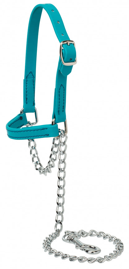 Weaver Sheep and Goat Brahma Webb Halter