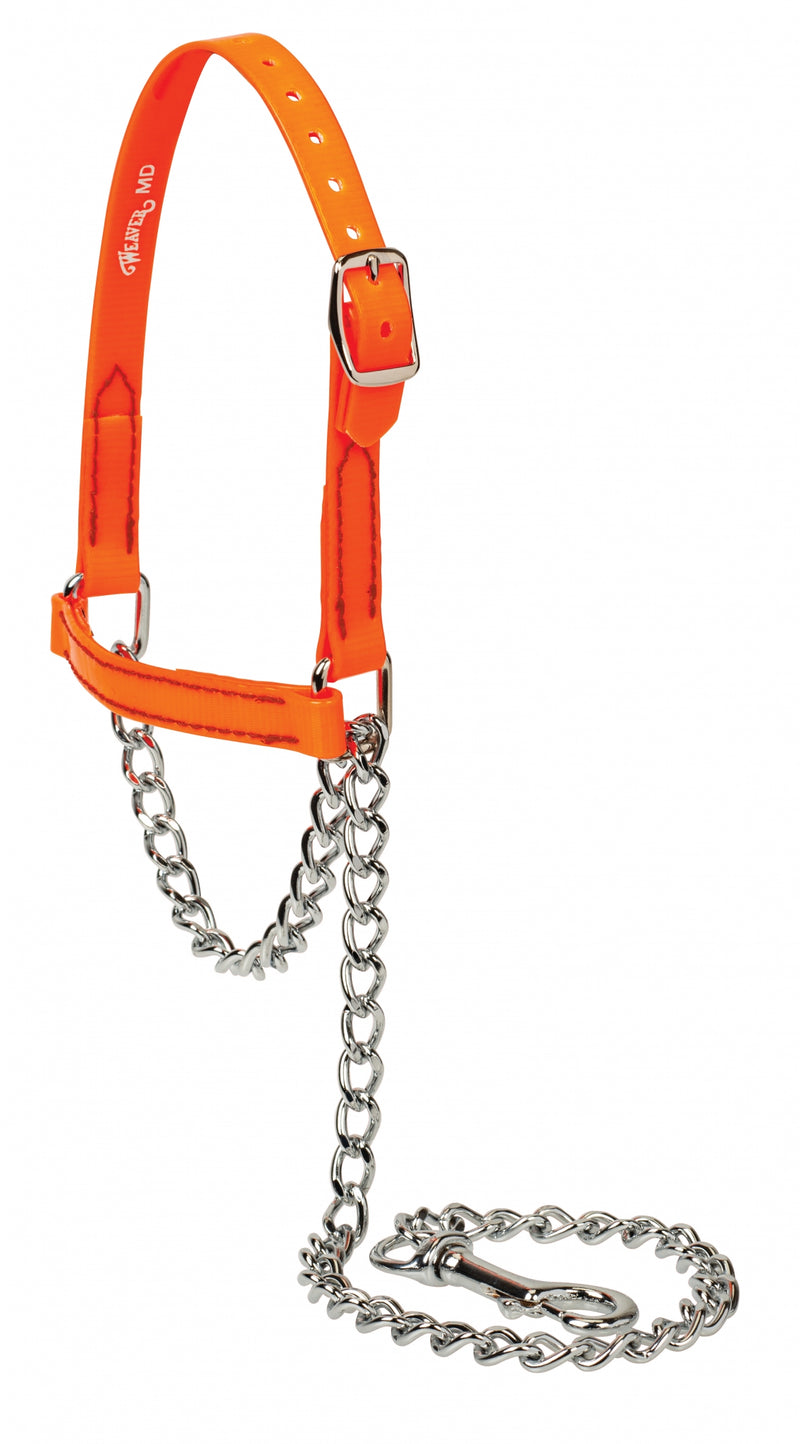 Weaver Brahma Webb Sheep and Goat Halter