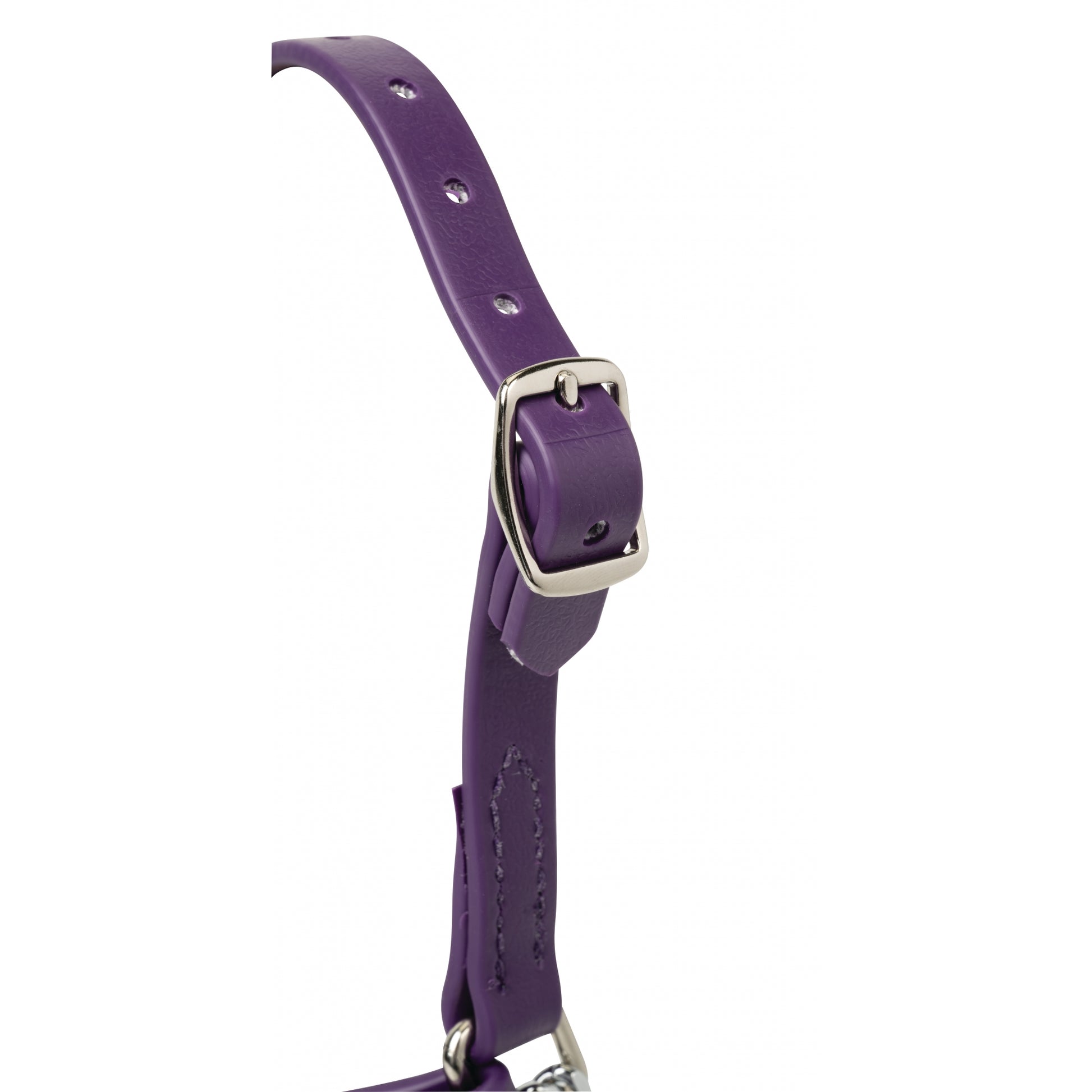 Weaver Sheep and Goat Brahma Webb Halter