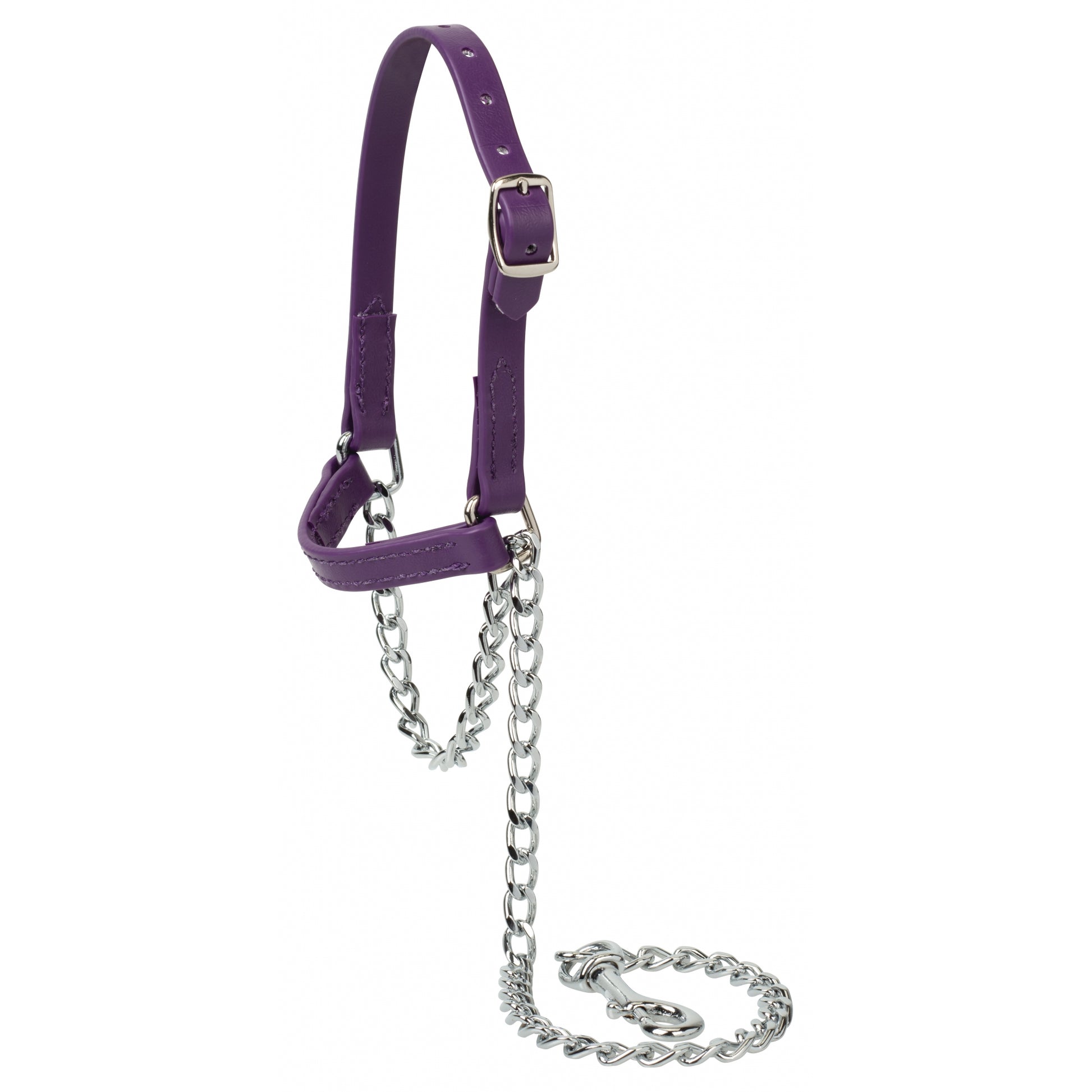 Weaver Sheep and Goat Brahma Webb Halter