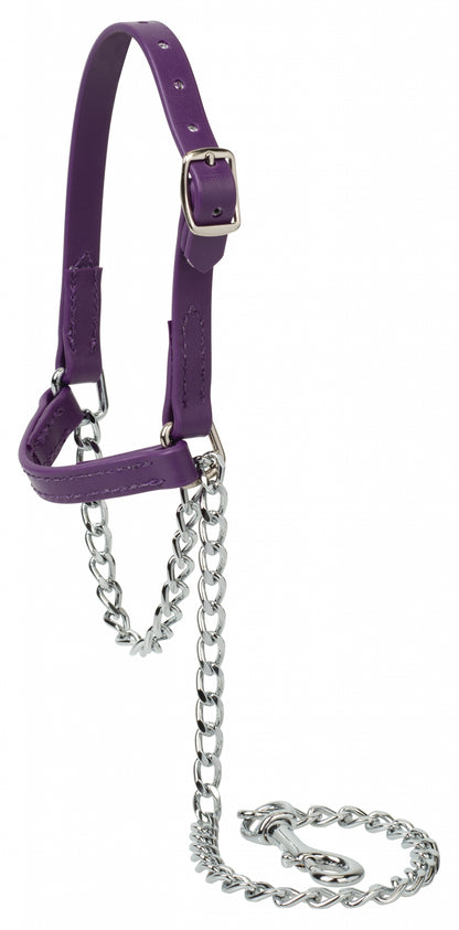 Weaver Sheep and Goat Brahma Webb Halter