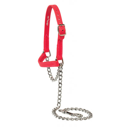 Weaver Sheep and Goat Brahma Webb Halter