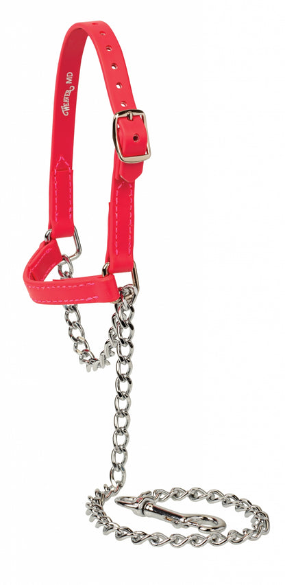 Weaver Sheep and Goat Brahma Webb Halter