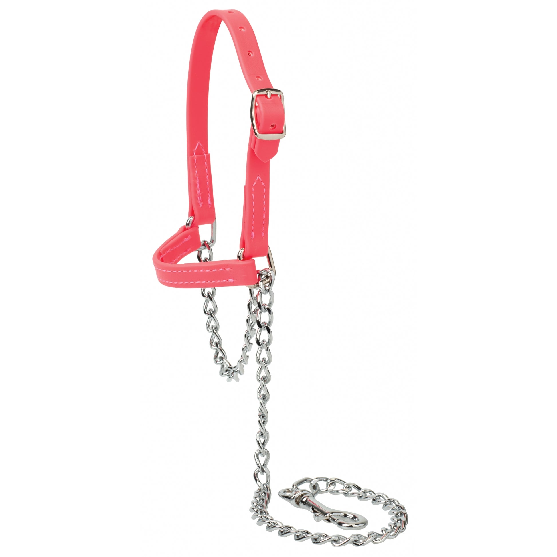 Weaver Sheep and Goat Brahma Webb Halter