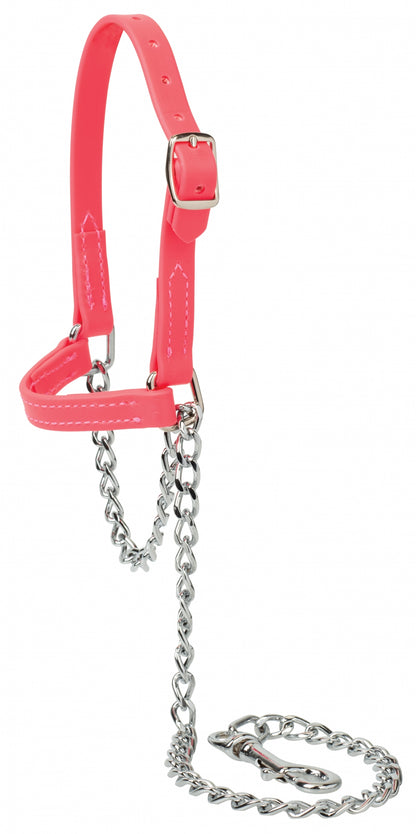 Weaver Sheep and Goat Brahma Webb Halter