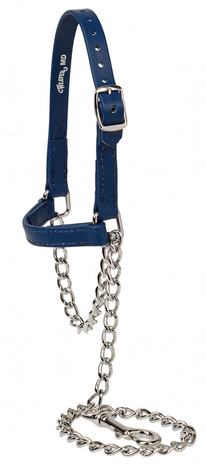 Weaver Sheep and Goat Brahma Webb Halter
