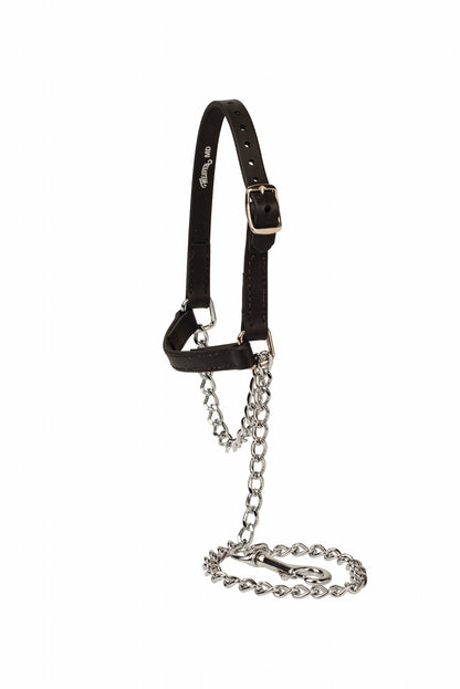 Weaver Sheep and Goat Brahma Webb Halter