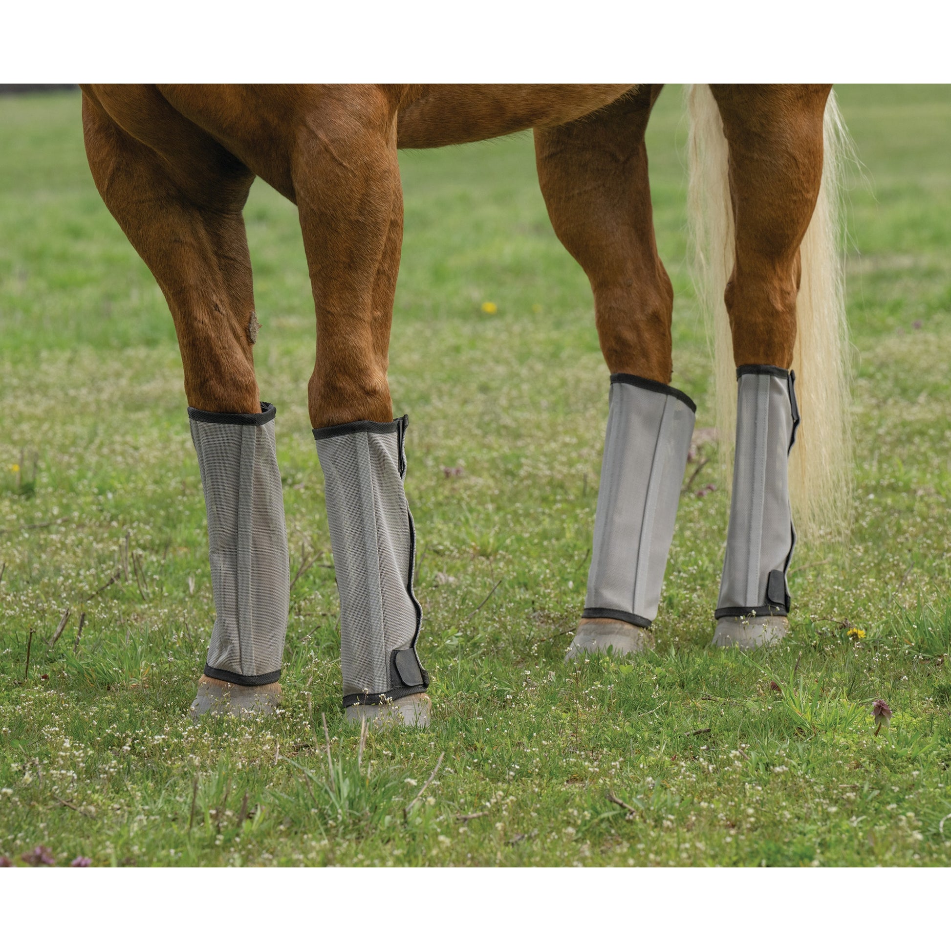 Weaver Horse Fly Boots - Set of 4