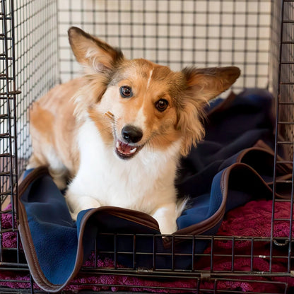 BeneFab Therapeutic Blanket