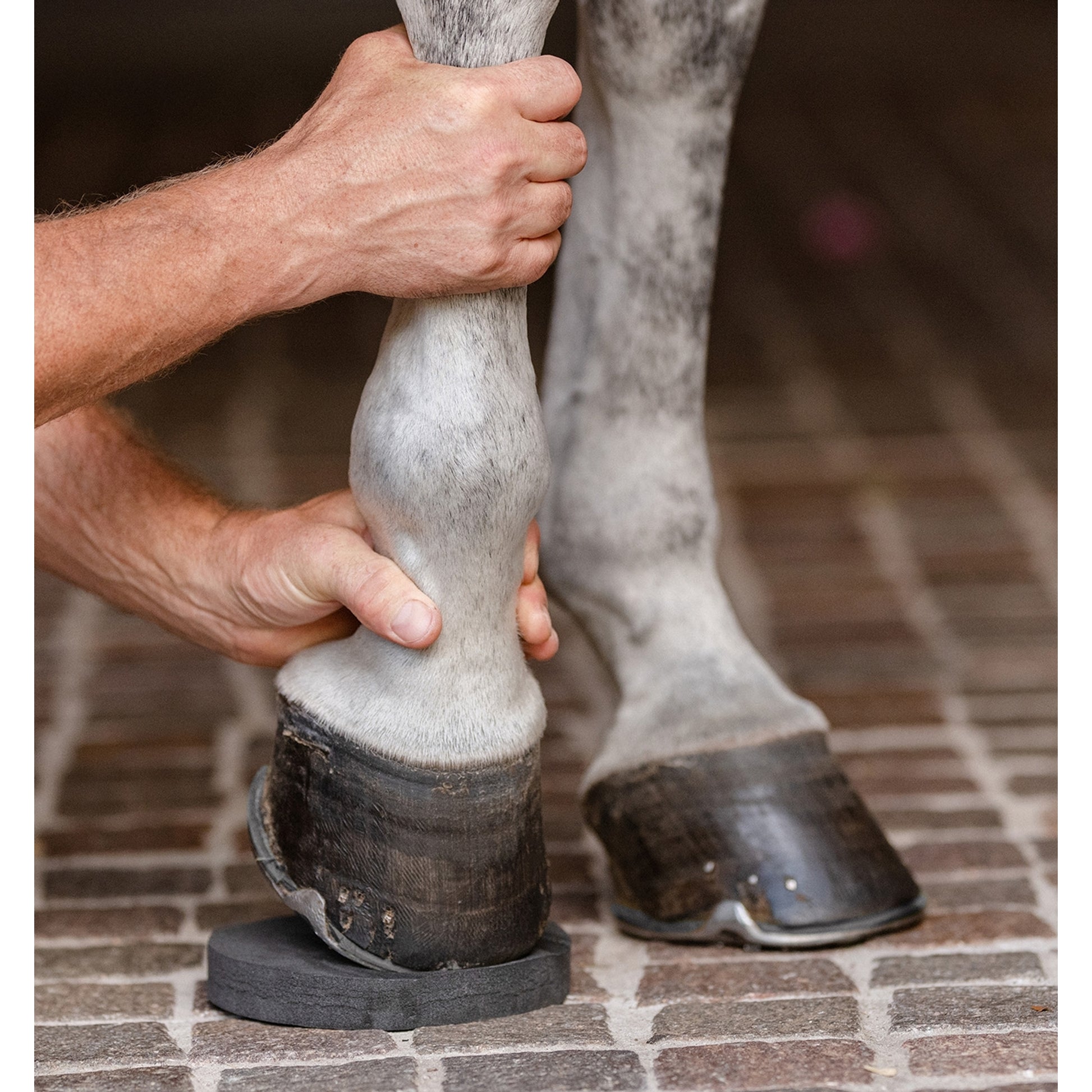 EquiFit Hoofsavers