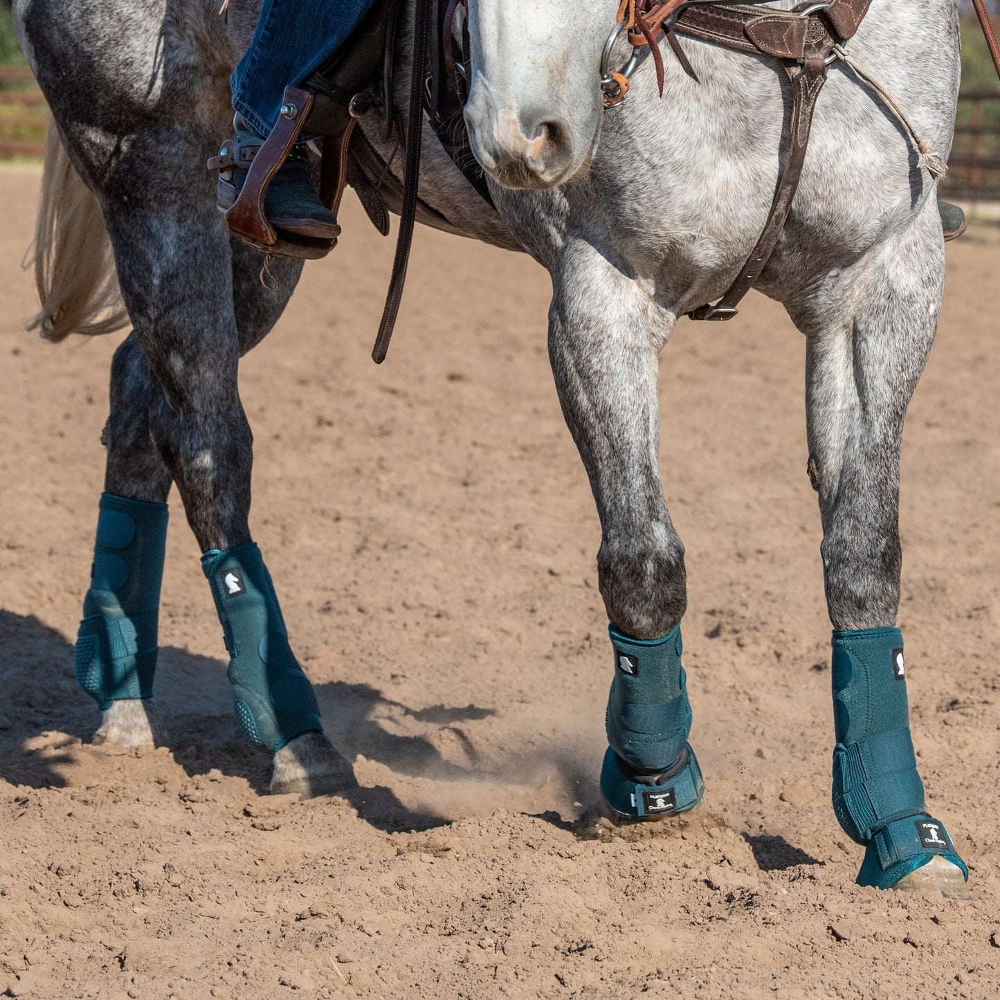 4-521257-04.jpg