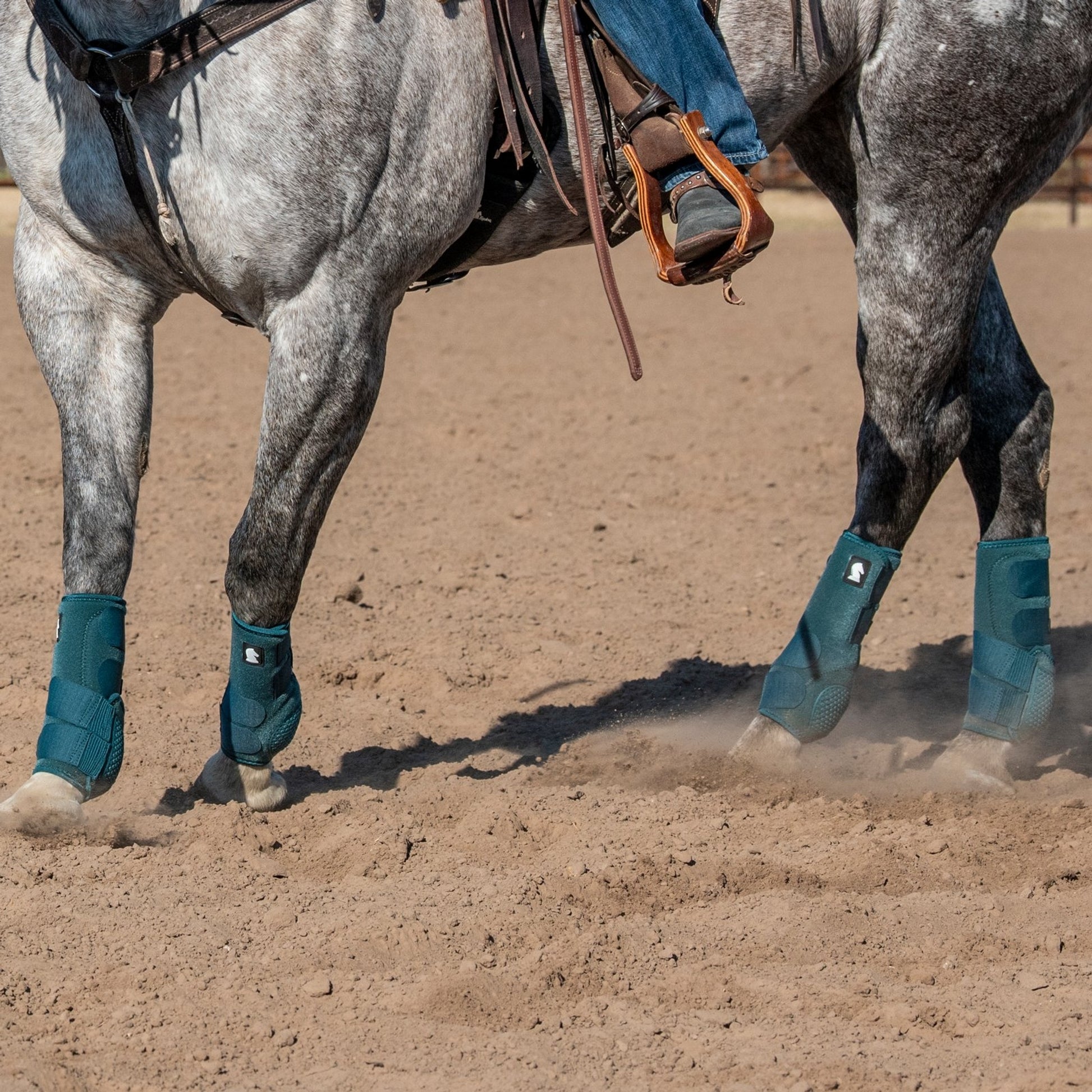 Classic Equine Flexion By Legacy Support Boots - Hind