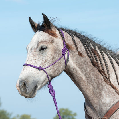 Classic Equine Rope Halter and 9 Foot Lead Rope