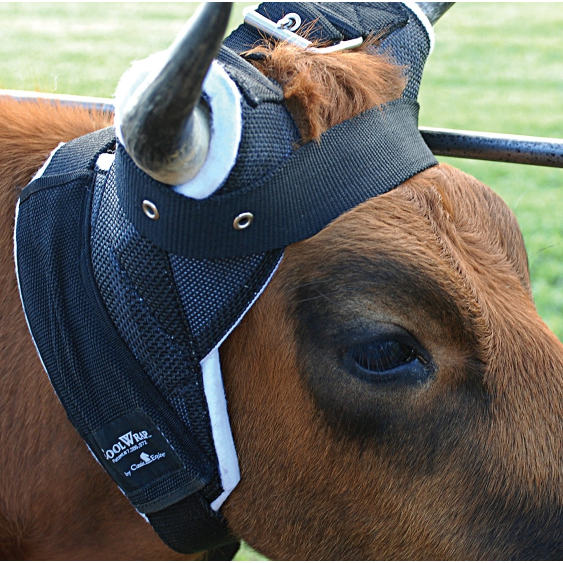 Classic Rope Clear Vision Cool Wrap Horn Wrap