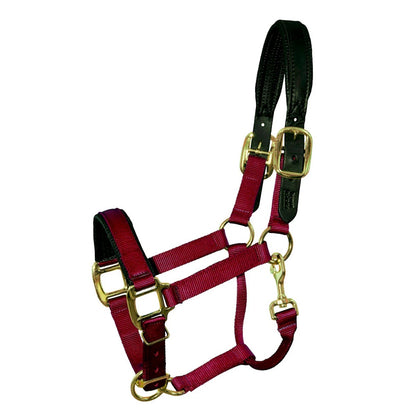 Intrepid Premium Nylon Breakaway Halter with Padded Crown/Nose