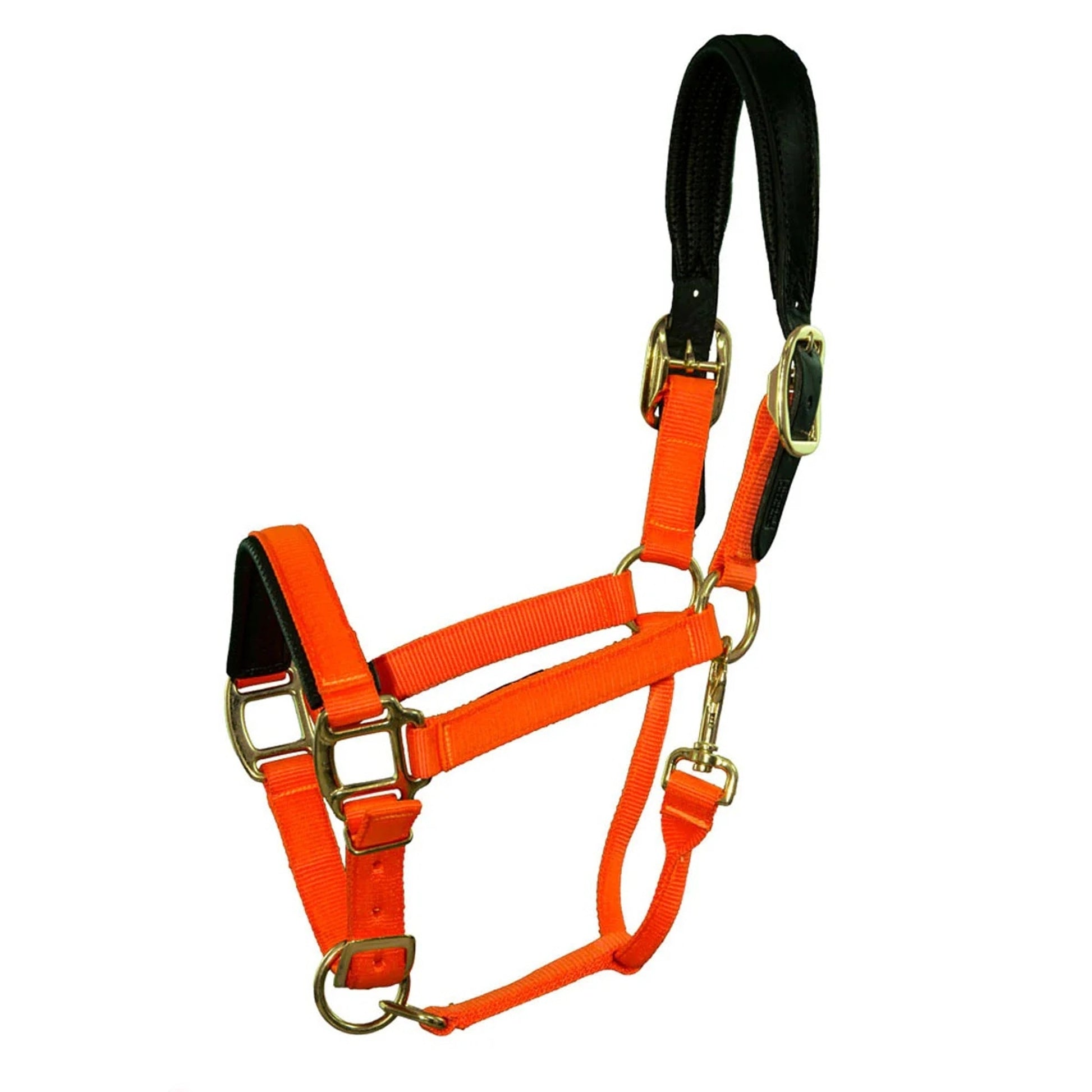 Intrepid Premium Nylon Breakaway Halter with Padded Crown/Nose