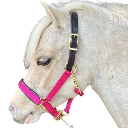 Intrepid Premium Nylon Breakaway Halter with Padded Crown/Nose
