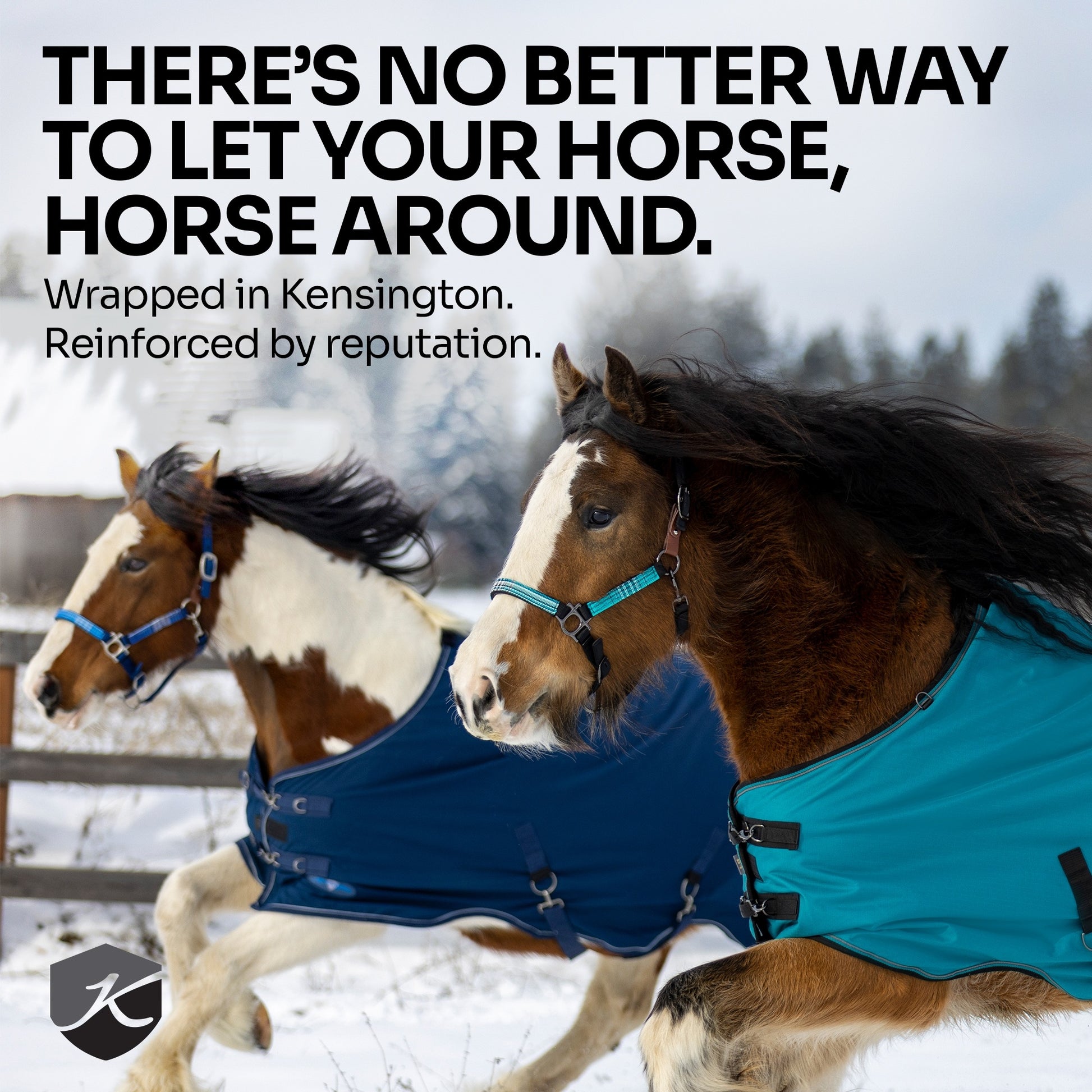 Kensington Horse 1200D SureFit Turnout 80g