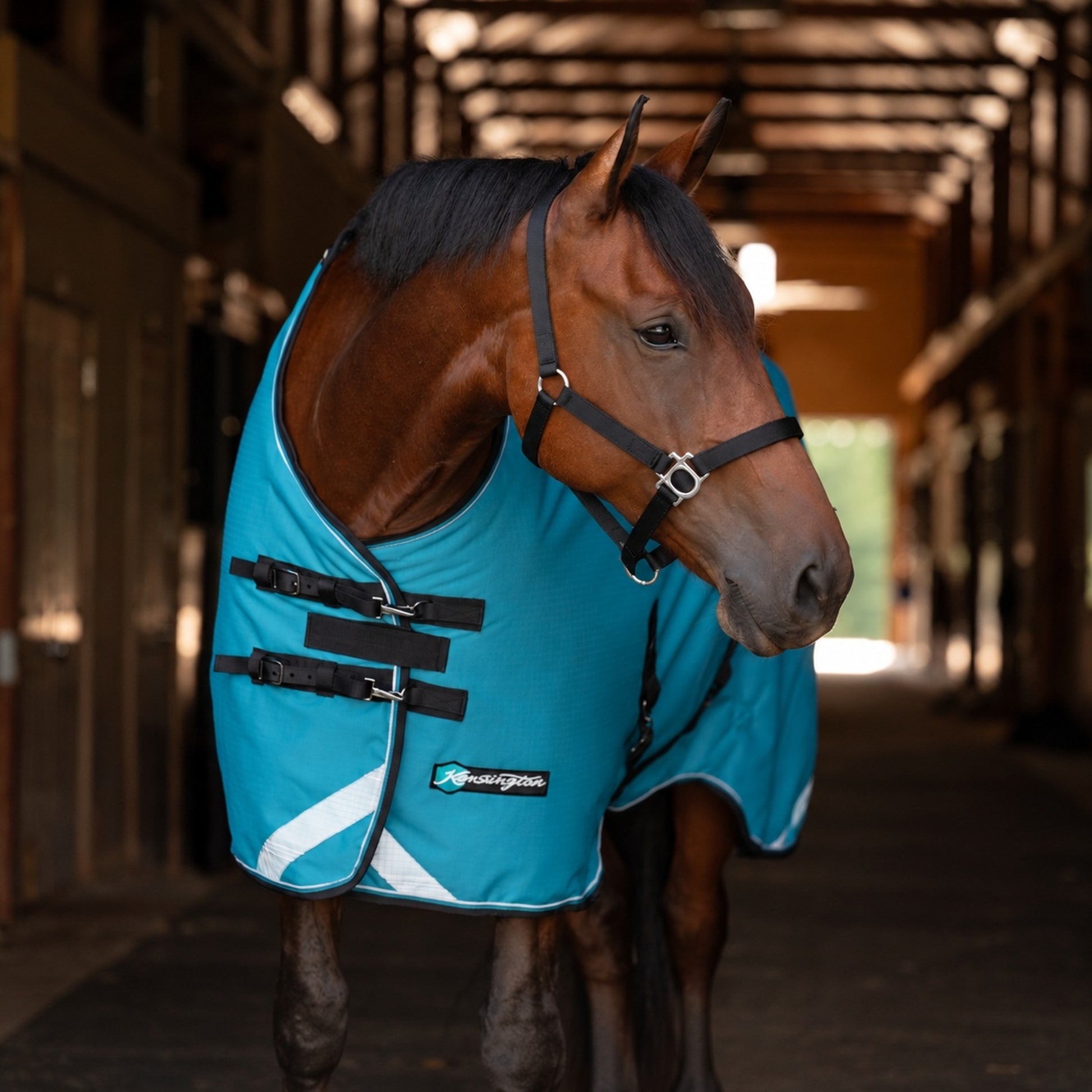 Kensington Horse 1200D SureFit Turnout 180g