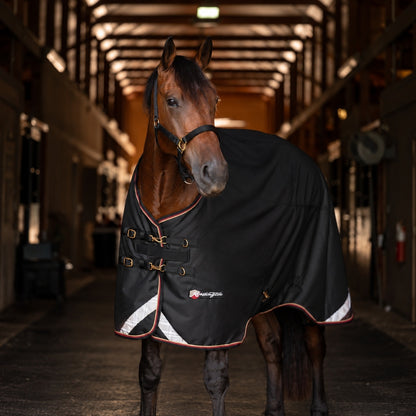 Kensington Horse 1200D EuroCut Turnout 300g