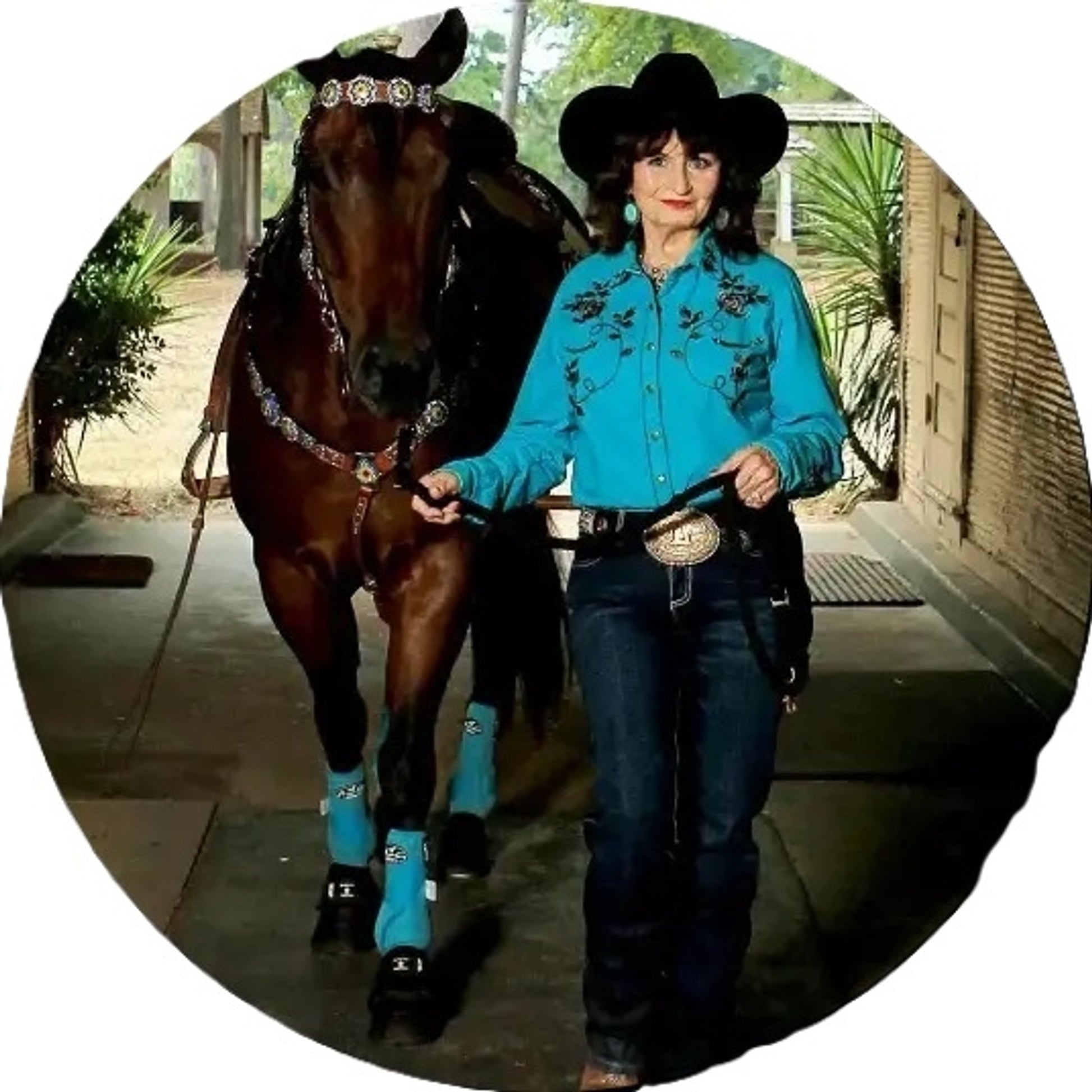 Circle Y Josey-Mitchell Renegade Rancher Saddle