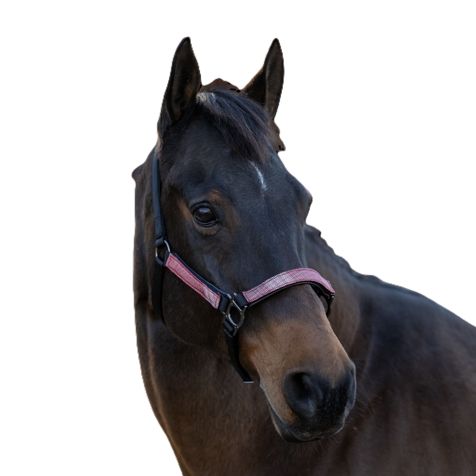 Kensington Reflective Breakaway Nylon Halter