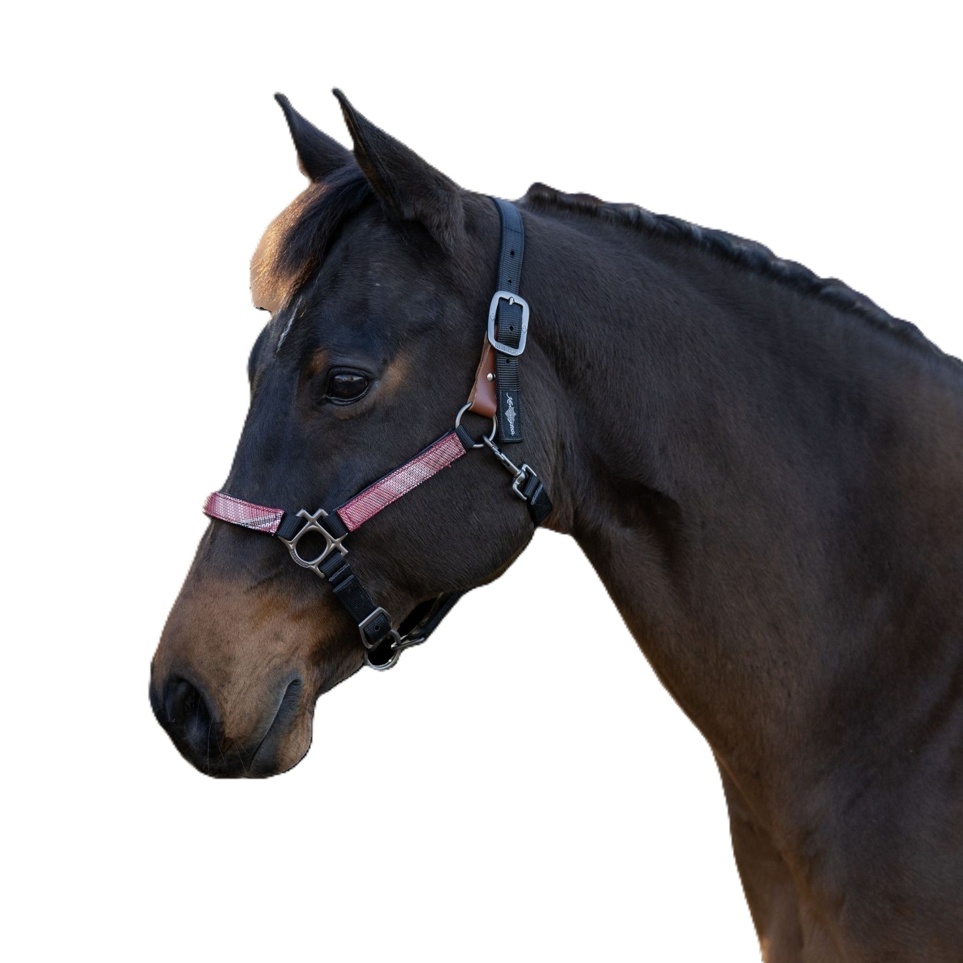 Kensington Reflective Breakaway Nylon Halter