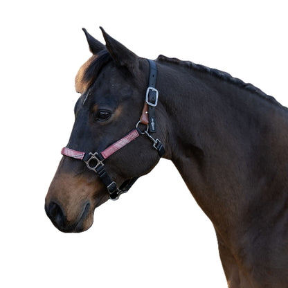 Kensington Reflective Breakaway Nylon Halter