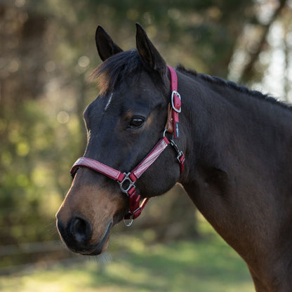 Kensington Reflective Breakaway Nylon Halter