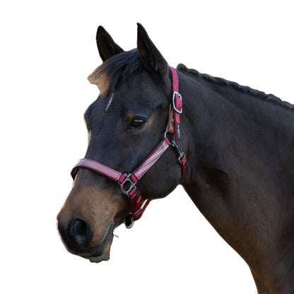 Kensington Reflective Breakaway Nylon Halter