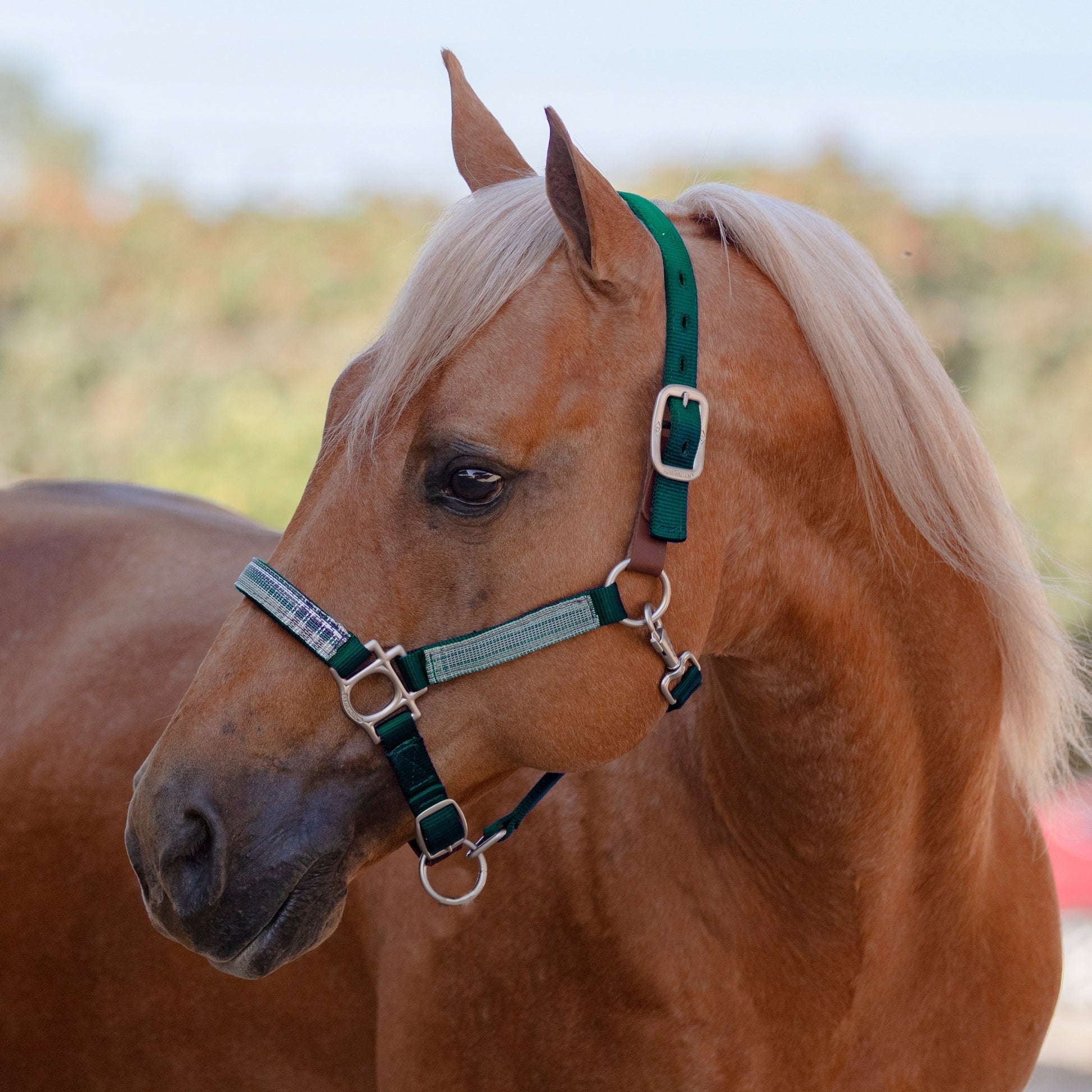 Kensington Reflective Breakaway Nylon Halter