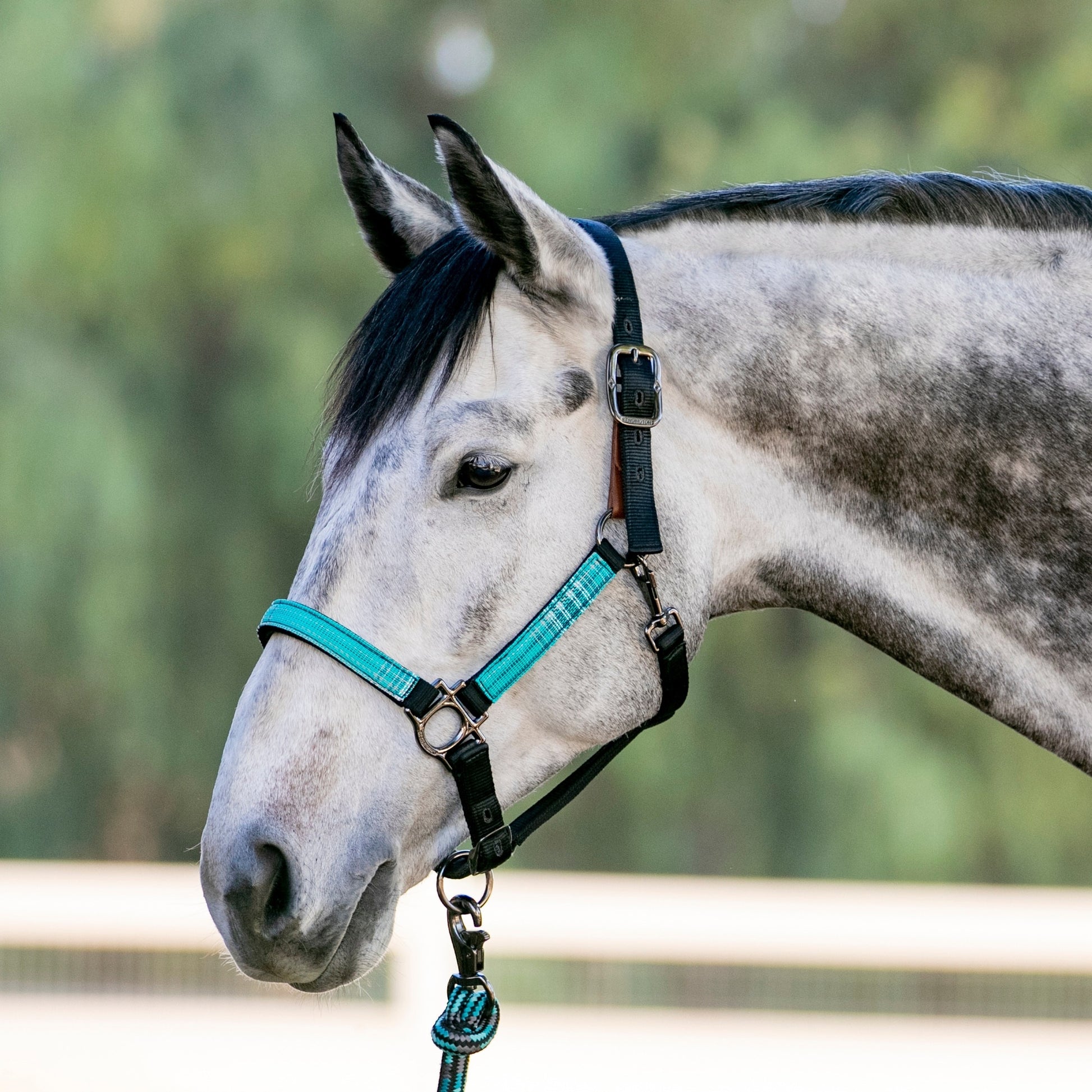 Kensington Reflective Breakaway Nylon Halter