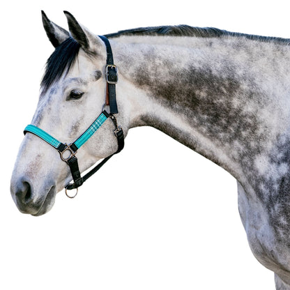 Kensington Reflective Breakaway Nylon Halter