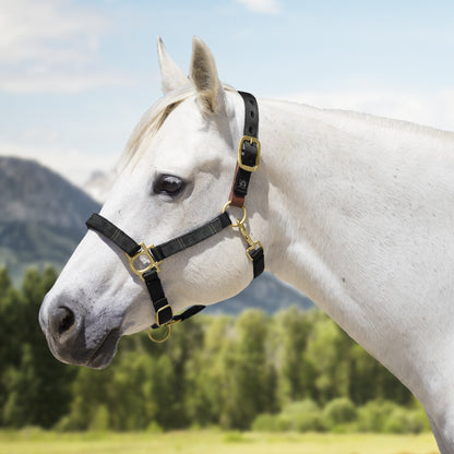 Kensington Reflective Breakaway Nylon Halter