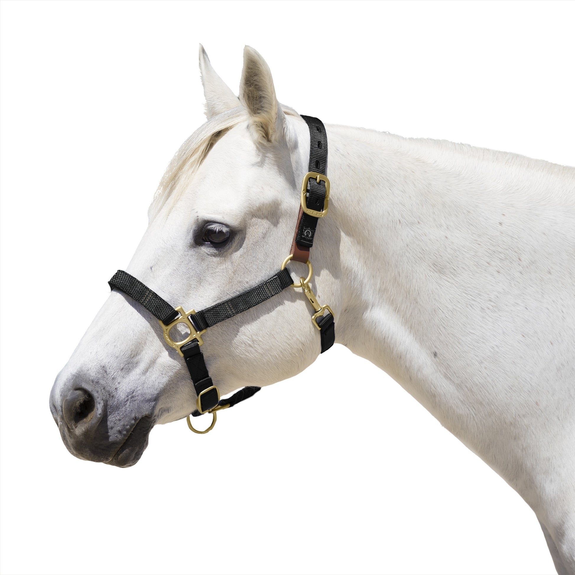 Kensington Reflective Breakaway Nylon Halter