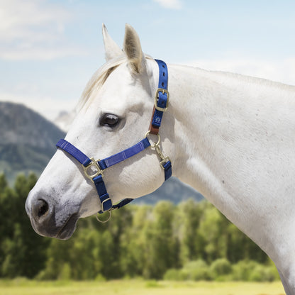 Kensington Reflective Breakaway Nylon Halter