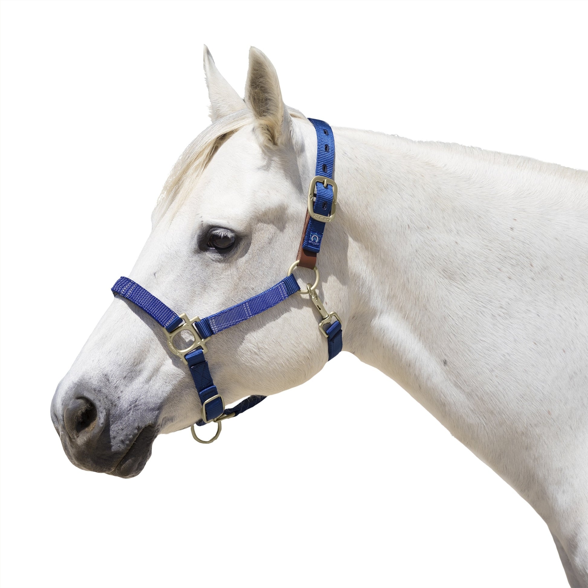Kensington Reflective Breakaway Nylon Halter