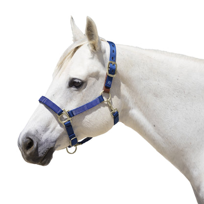 Kensington Reflective Breakaway Nylon Halter