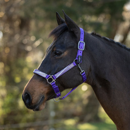 Kensington Reflective Nylon Halter