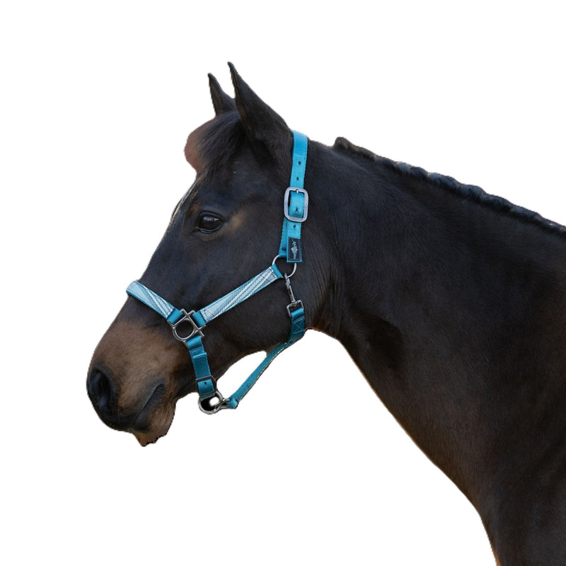 Kensington Reflective Nylon Halter