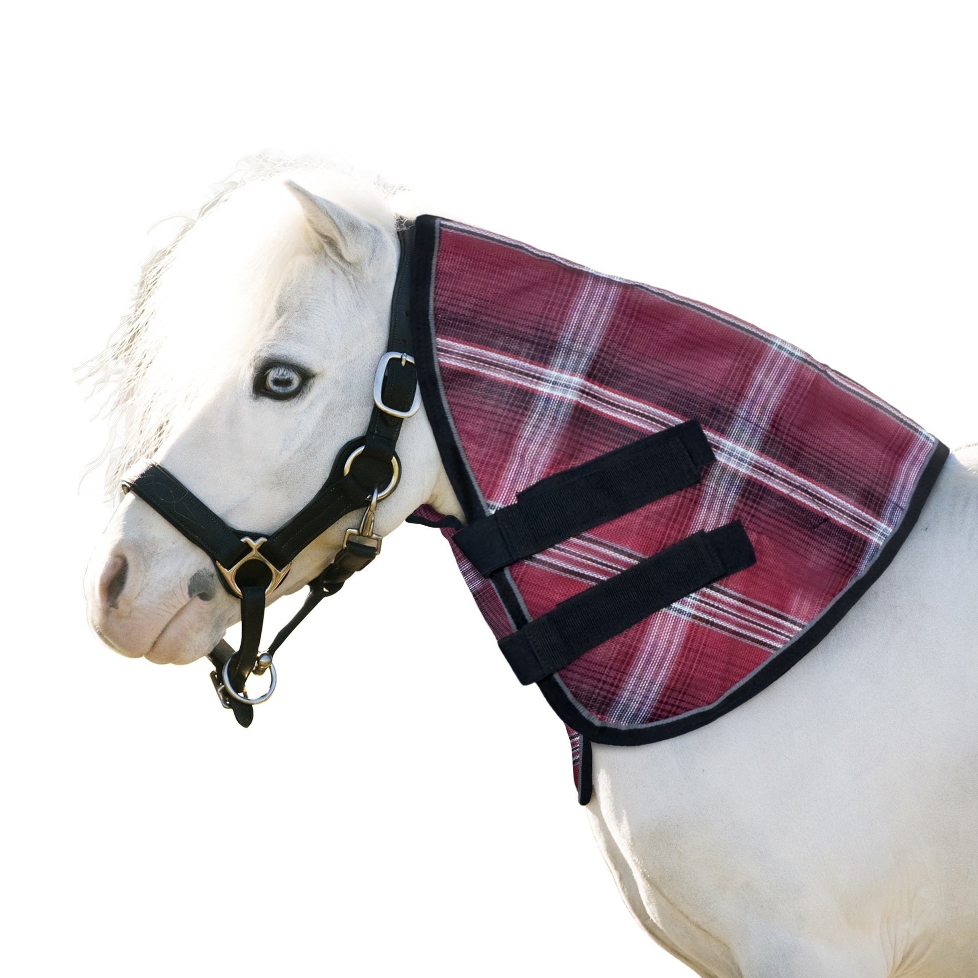 Kensington Mini Protective Neck Piece