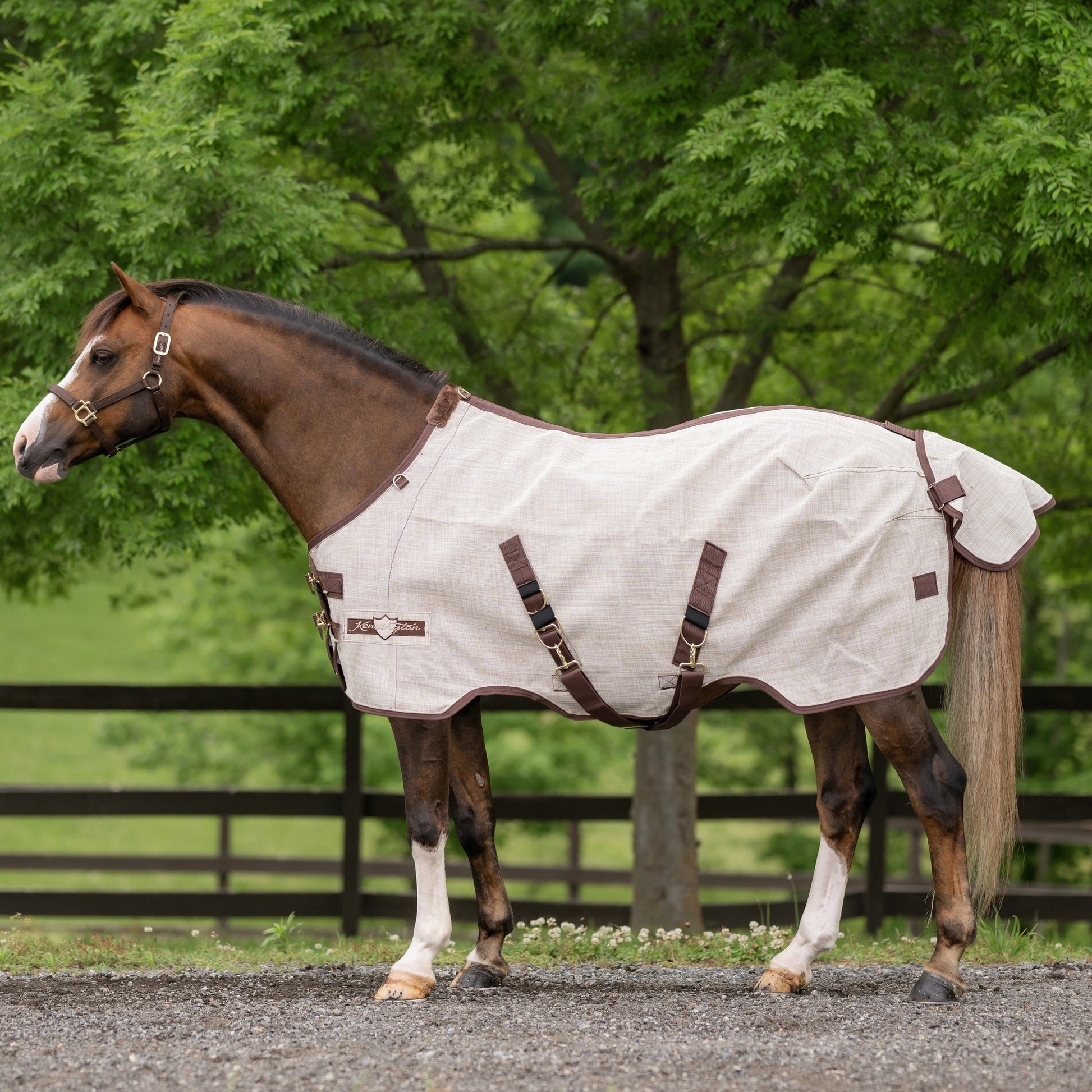 Kensington Pony Protective Fly Sheet