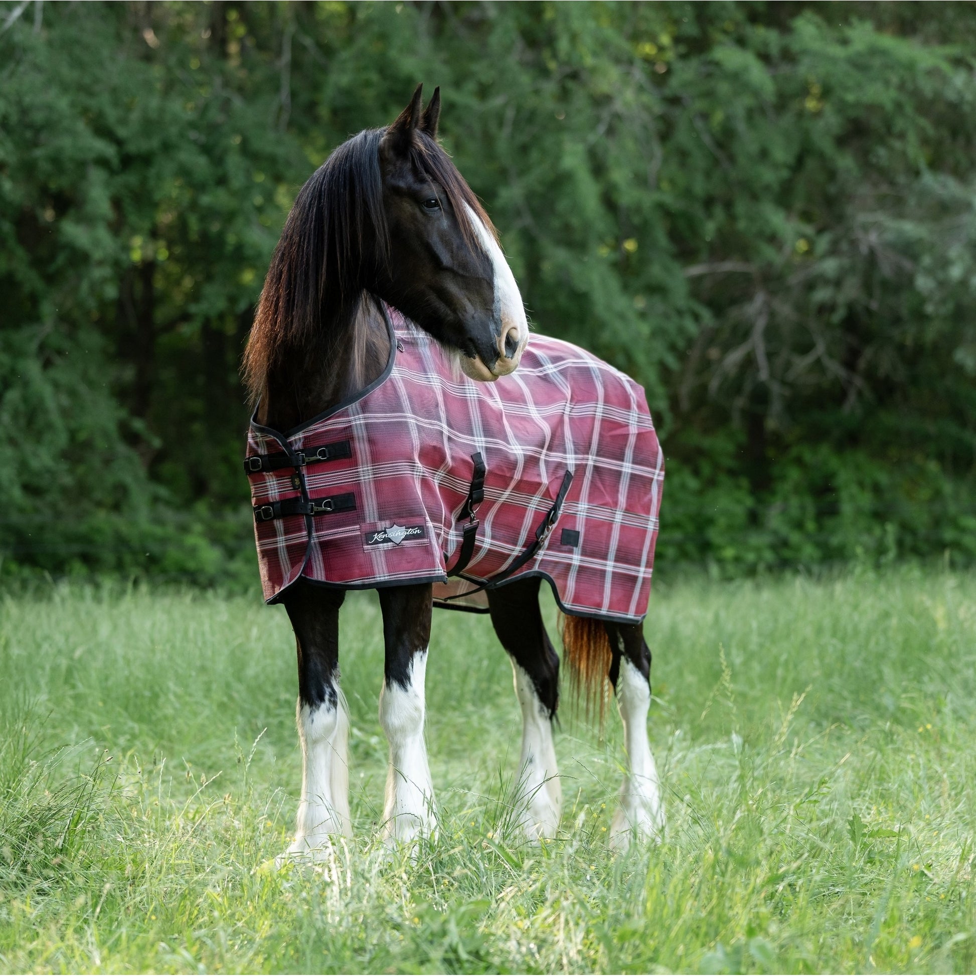 Kensington Draft Protective Fly Sheet
